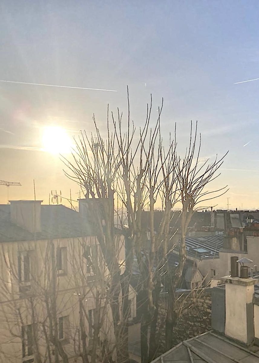focusonparis's tweet photo. From the rooftops: morning light over #Paris. #photography #montmartre #parisinwinter #winterinparis #rooftopsofparis #architecture https://t.co/fVjudwvnHj https://t.co/vbmFP6gpTA