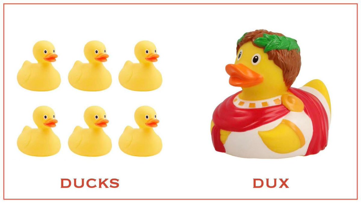 ducks vs dux