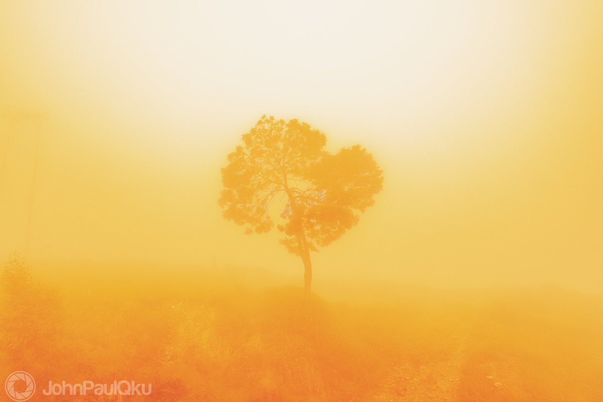 "Aku sungguh akan belajar bahagia menerimanya, dan itu akan lebih mudah dengan pemahaman yang baru.
Aku akan baik-baik saja."