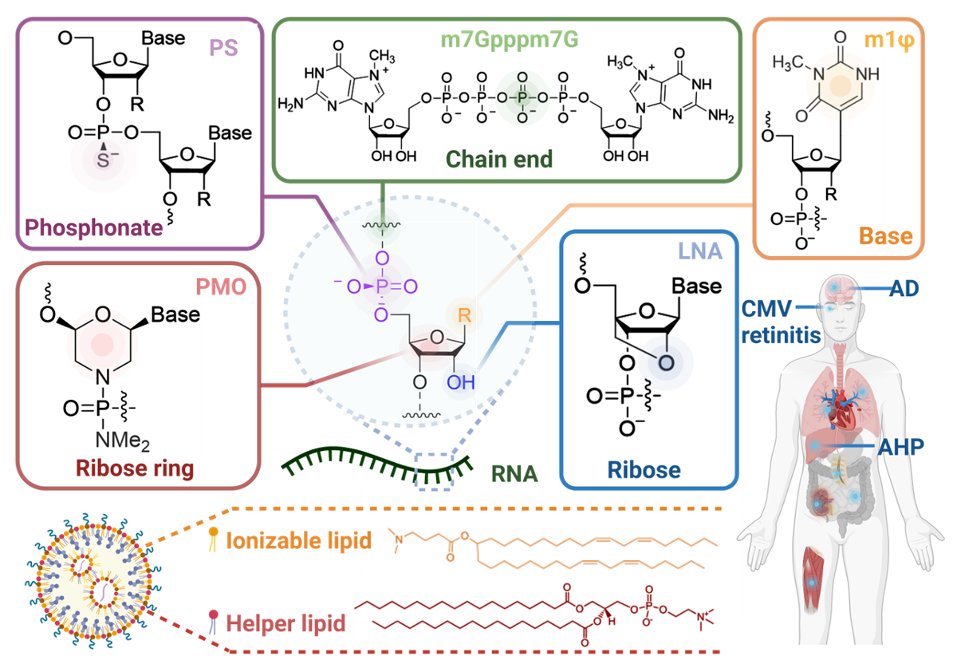 Excited to share our review article regarding the "Chemically Modified Platforms for Better RNA Therapeutics" published in Chemical Reviews <a href="/ACSChemRev/">Chemical Reviews</a>!  
pubs.acs.org/doi/10.1021/ac…
<a href="/WeiTaoLab/">Wei Tao</a> <a href="/BrighamResearch/">Brigham and Women’s Research</a> <a href="/harvardmed/">Harvard Medical School</a> <a href="/AcadSinica/">中央研究院 Academia Sinica</a>
