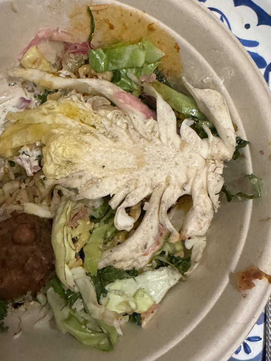 Meraki101's tweet photo. Extremely disappointed with @CAVA. Ordered a Greens + Grains Bowl at 8 PM, only to find cabbage with black spots and poor cutting - totally unacceptable! Tried to overlook it, but couldn't. Expected better quality and standards. #letdown #poorquality #CAVA #poorstandards #Sadfood https://t.co/Y2Ohy36rEQ