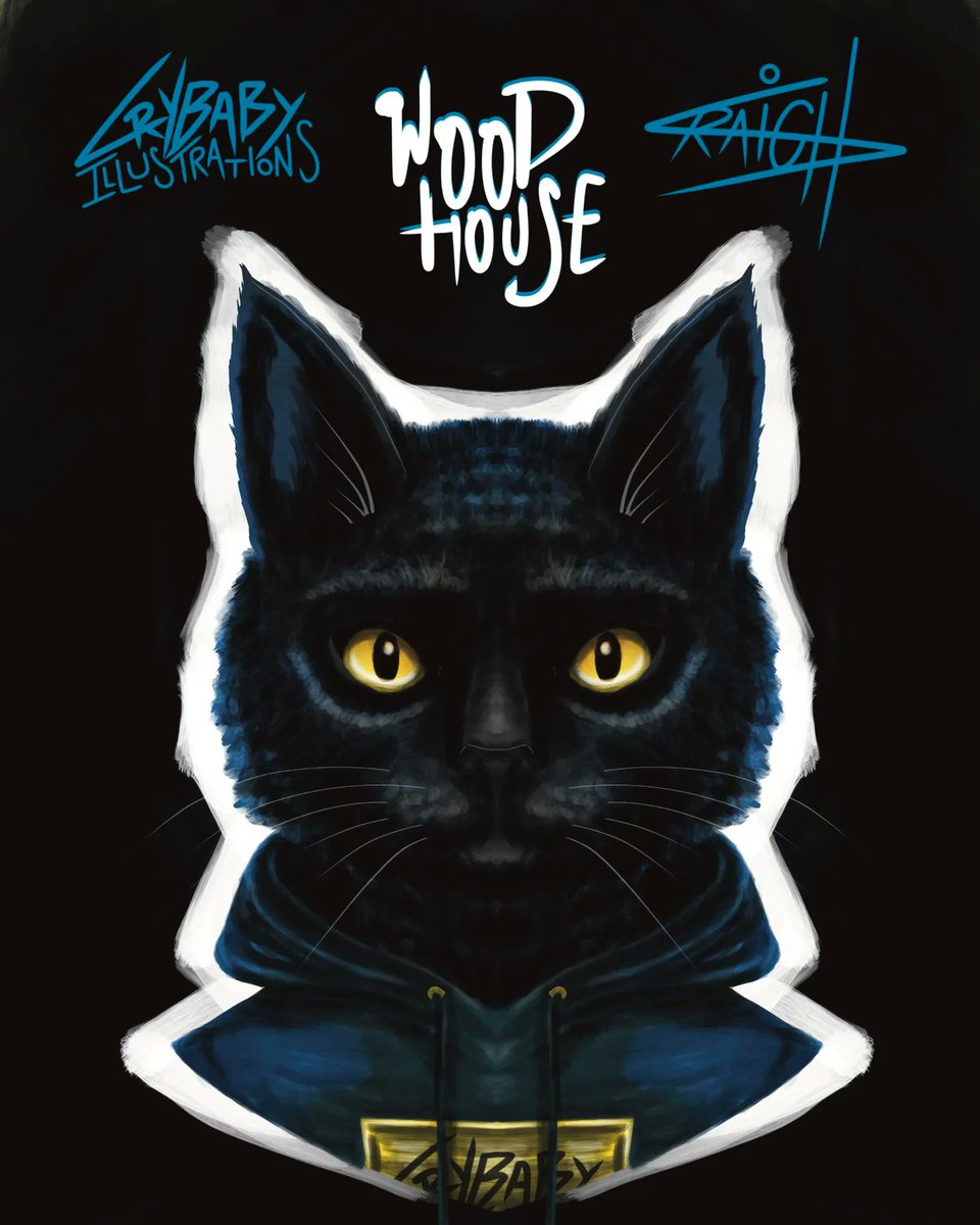 CryBabyArtist's tweet photo. Meet Woodhouse 🐈‍⬛️👀
#digitalartwork #oc #originalcharacterart #originalcharacter #characterdesign #portfolio #procreate #catclub #catart #cat https://t.co/qwOecJubEe