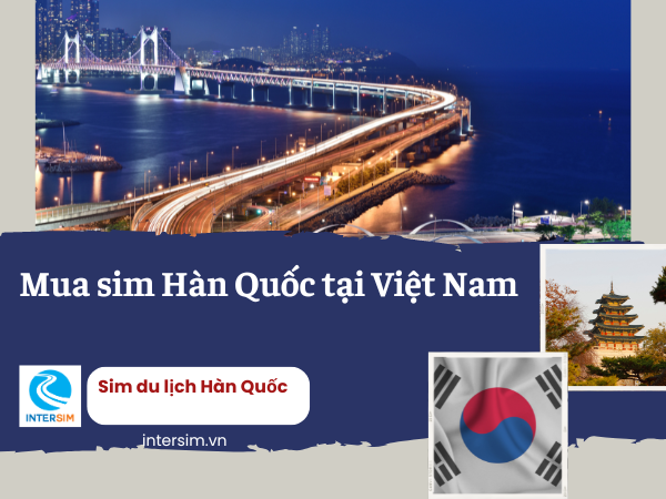 simdulich's tweet photo. Mua sim Hàn Quốc tại Việt Nam có nhiều lợi ích hơn so với mua tại Hàn Quốc. Interism là địa chỉ bán sim đáng tin cậy với giá cả hợp lý và chất lượng đảm bảo.
Xem thêm thông tin và đặt sim Hàn Quốc tại link sau: https://t.co/W433z8nwtu
#simHanQuoc https://t.co/Yux8CTKro6