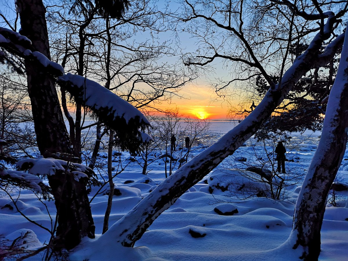 Have a nice day

#Helsinki #Finland #photography #StormHour #travel #Photograph #weather #nature #sunset #photo #landscape #Winter #Snow #TuesdayMotivation #visitfinland #visithelsinki #discoverfinland