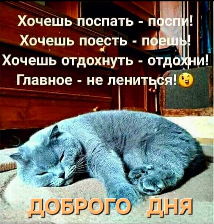 Утречка всем!