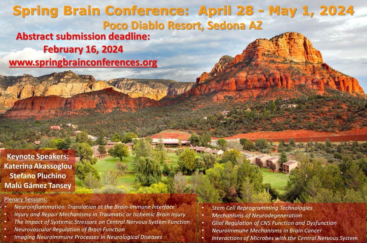 Register now for the 2024 Spring Brain Conference that will take place in Sedona, AZ in just 3 months! Check out our speaker line-up and submit abstracts for Hot Topic and Trainee Presentations here: springbrainconferences.org