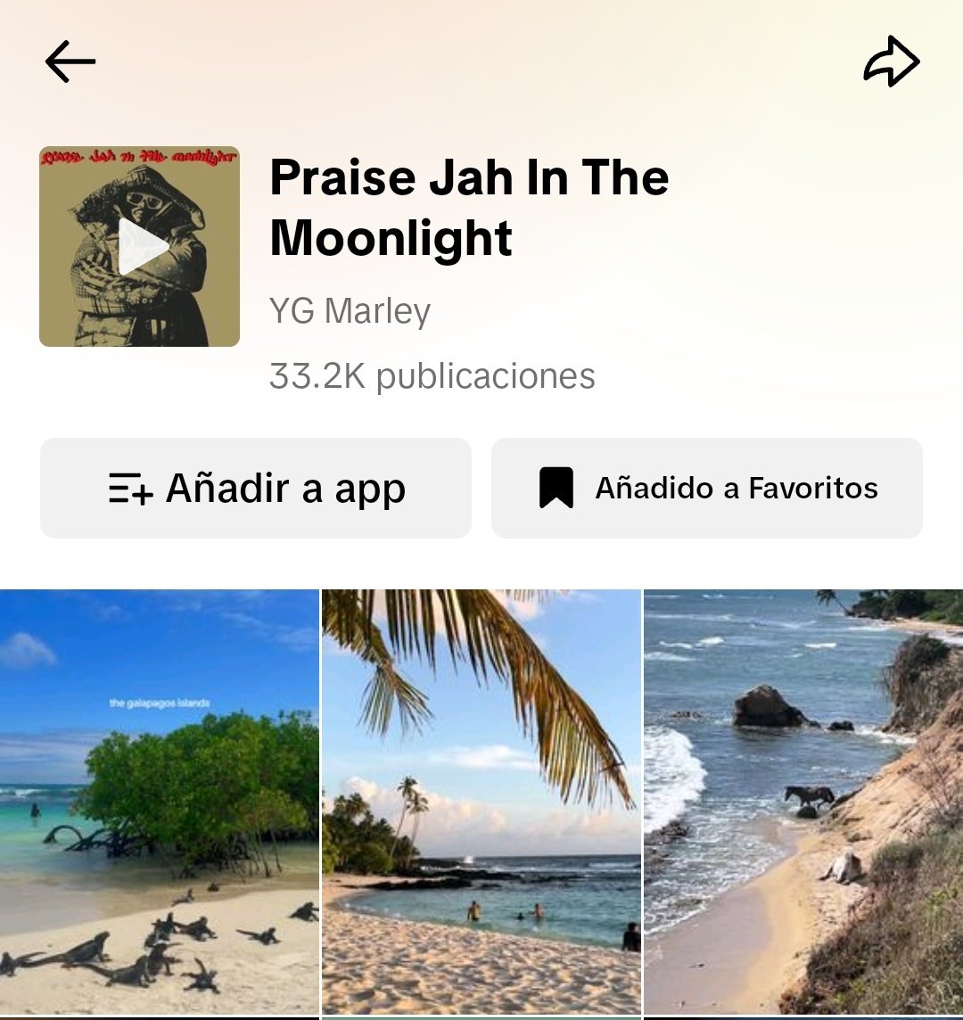 fan de los tiktoks de playa con este temón