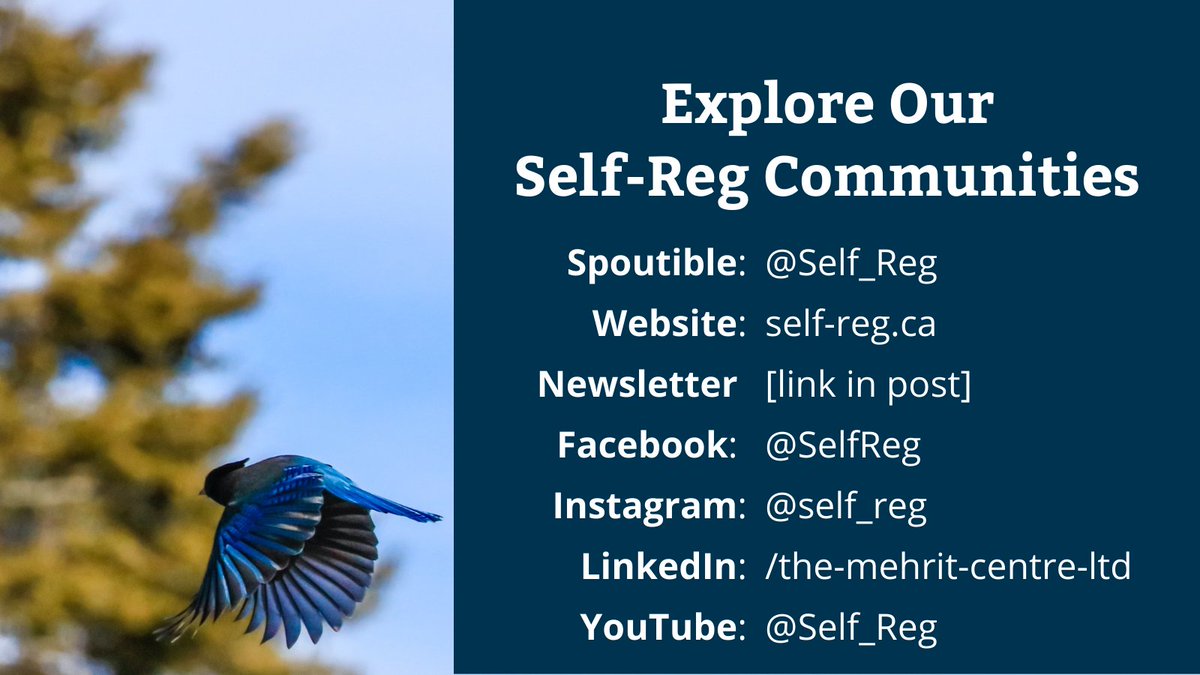 The MEHRIT Centre tweet media