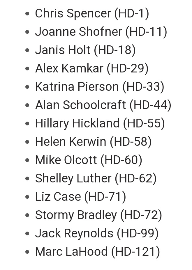 DeAngelisCorey's tweet photo. Here are the 14 school choice supporters we endorsed who are challenging opponents of education freedom in the Texas House #txlege https://t.co/HovIZOjLwH