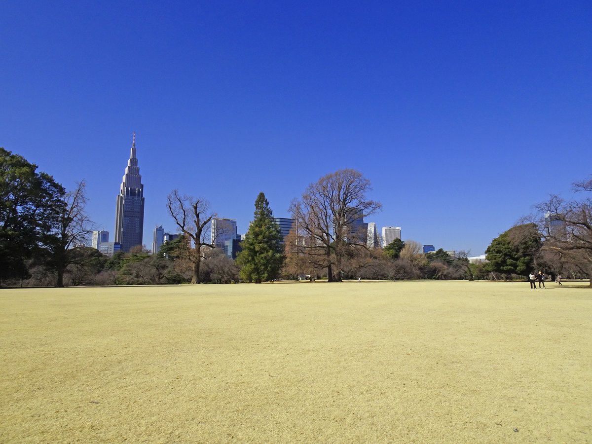 東京ドーム約12個分の大きさの #新宿御苑。広さの秘密は江戸時代まで