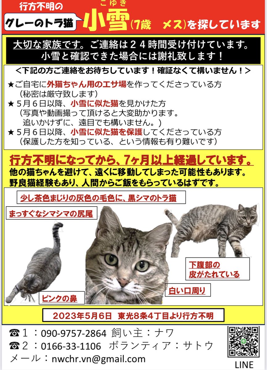 nekokoyuki0126's tweet photo. 生死もわからないこの状態は本当に辛いです…。生きていると信じて探していますが、心の奥底では、毎日不安でいっぱいです…。亡くなっていたとしても会いたい、その気持ちでいっぱいです🥲探偵もライナーもポスティングも、保健所や警察署も、回覧板もだめなら次は何をしたらいいのだろう🥲　#旭川 https://t.co/7pW4OPWRqH