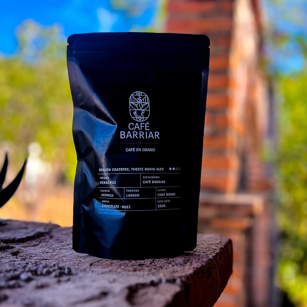 ChristianCruzB's tweet photo. Amigo de #CiudadObregón, si estás buscando un rico café en grano o molido para preparar en casa 🏡 ¡yo tengo!

No olvides también seguirnos en Instagram

https://t.co/vbigKQMPwD

#Cajeme #Coffee #FelizLunes https://t.co/CwzV0ATDMx