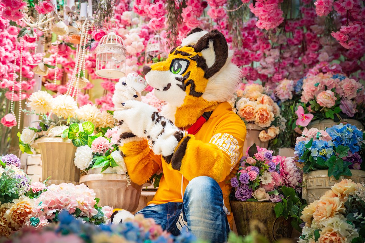 📸🐳Gale🐳📷 tweet media