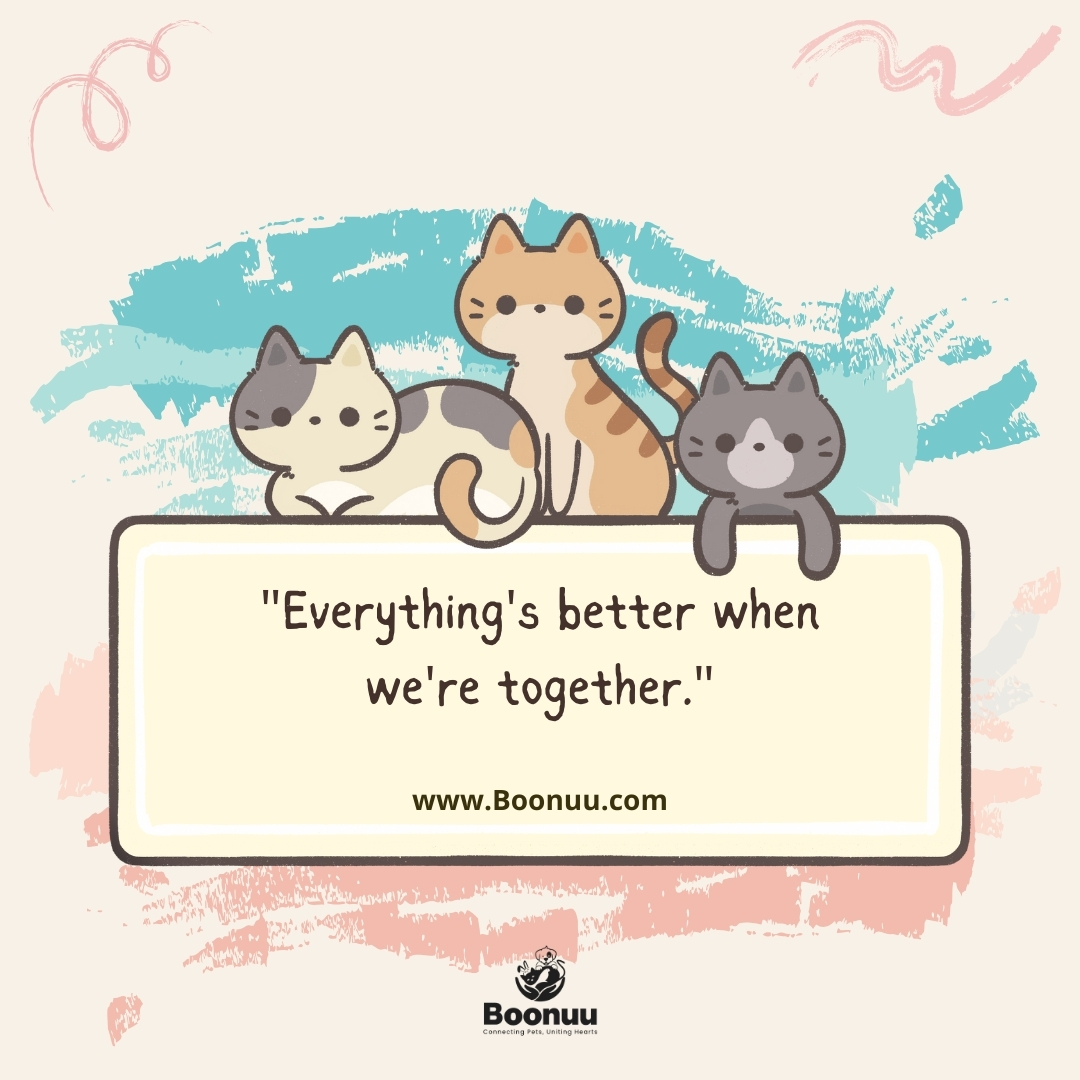 Boonuuofficial's tweet photo. #TogetherWithPets
Share with us your heartwarming pet moments that light up your life! πΎπΆ
Visit - https://t.co/yQ7SIskqTW
#doglovers #doganatomy #appcomingsoon #boonuu #petcarejoy #petcommunity #furryfriends #bestpetcare #petlovers #petcareservices #JoyfulPets #petwellness https://t.co/MrmzlmwBvW