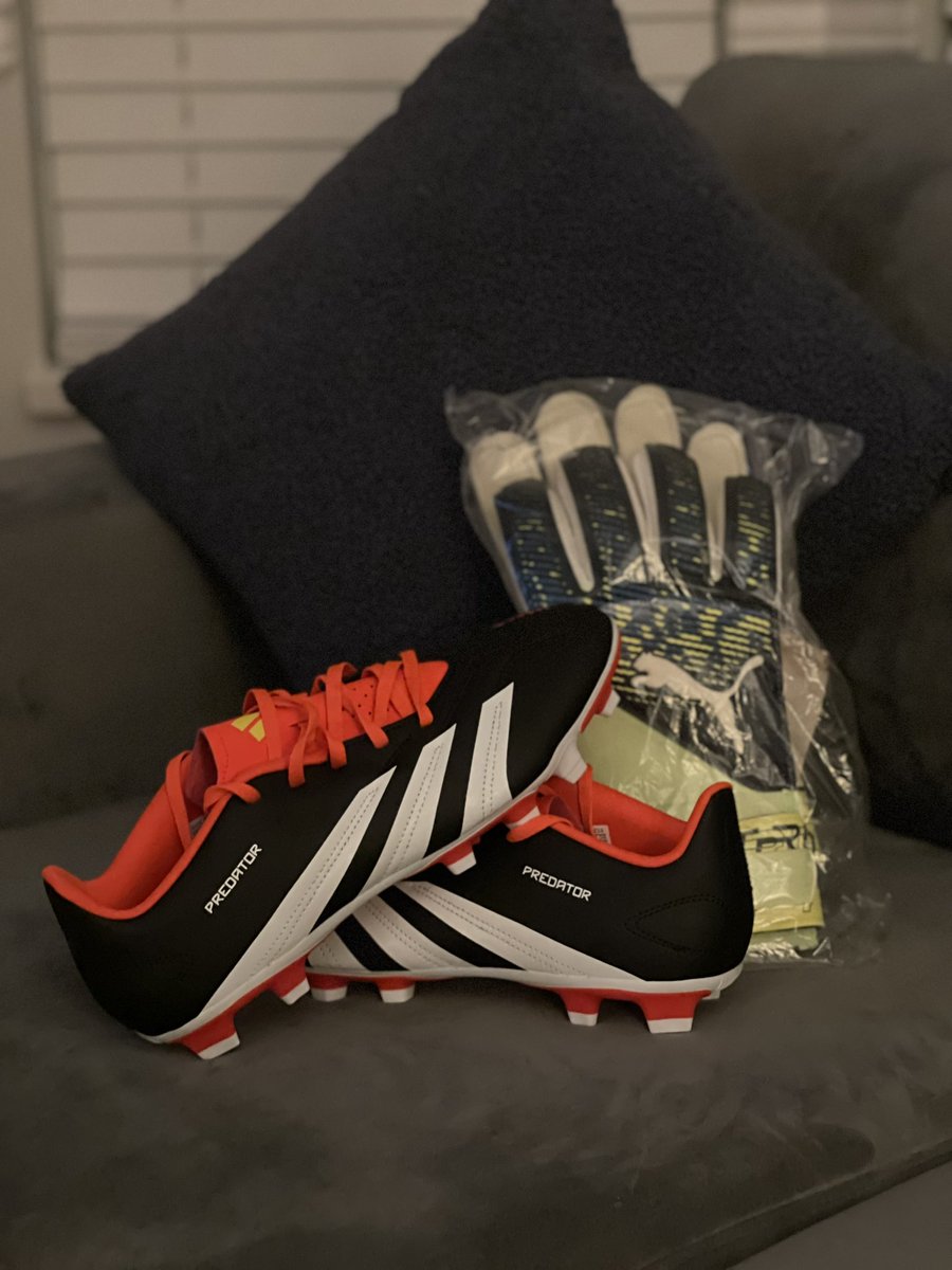 Patrick Quaile tweet media