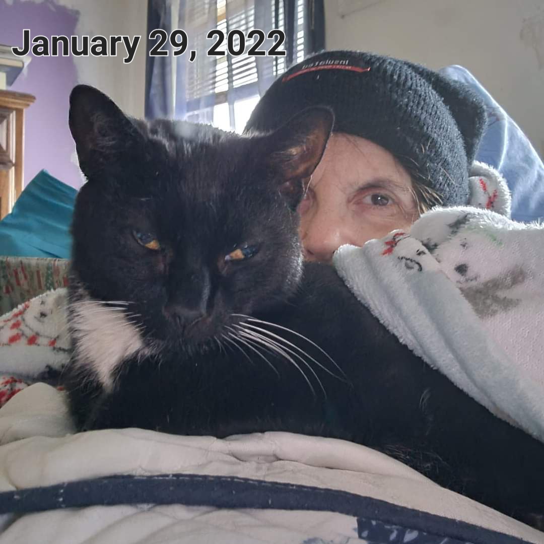 CatCheezeburger's tweet photo. Fotoz for January 23- 29...sum r frum Mama's memreeze! Luv all My Palz! (Part 2) Luv, Cheezeburger โฅ๏ธ๐๐โโฌโฅ๏ธ #cheezeburger #cat #cats #catsoftwitter #catoftheday #tuxedocat #tuxedocatsoftwitter #CheezeburgerTheCat https://t.co/DHGcRdbu8X