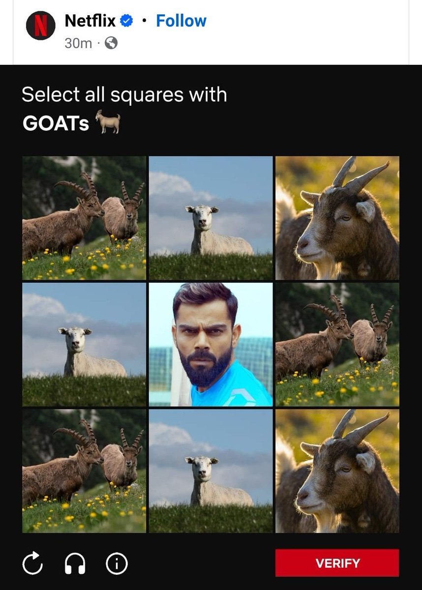 CricCrazyJohns's tweet photo. Netflix post for King Kohli. 

- The face of cricket. 🐐 https://t.co/cPCsERDbOm