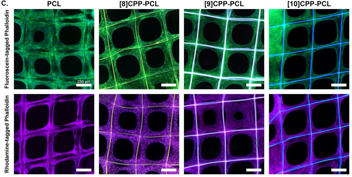 Paul Dalton tweet media