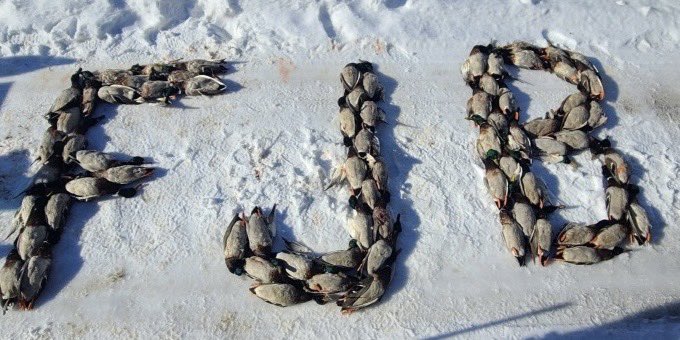 XRP GLADIATOR (@xrpgladiator) on Twitter photo 