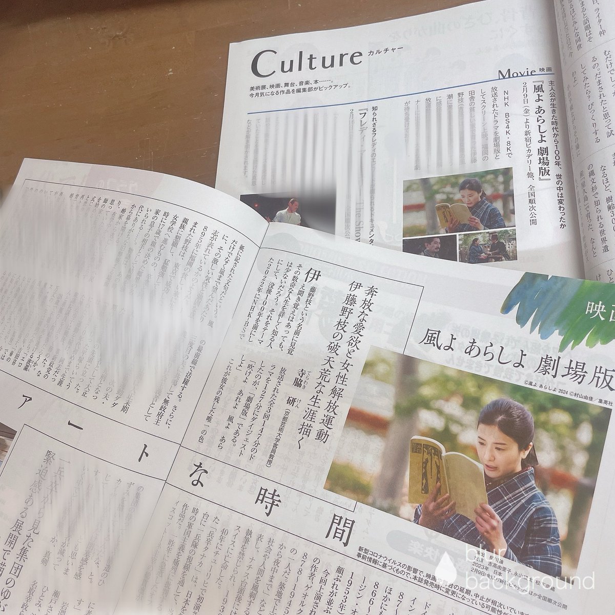 kazeyoarashi's tweet image. ✎ メディア情報
　ﾟ･:.｡..｡.

1.28発売 #毎日が発見 にて作品紹介

#週刊エコノミスト にて
作品評ご紹介いただきました！

100年たったいま、世の中は変わったかーー
ぜひスクリーンで、その目で、ご覧くださいませ🔖