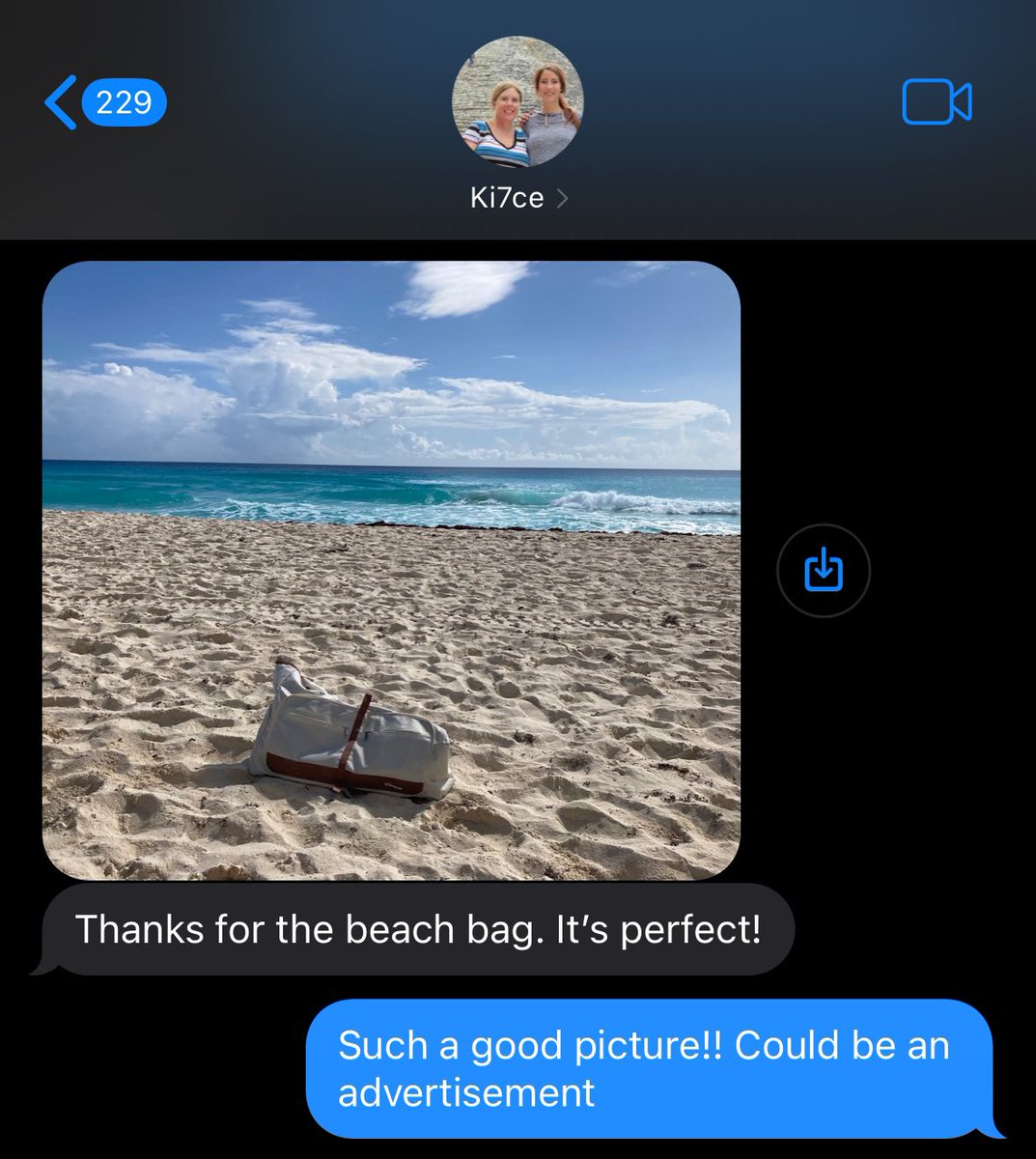 cow~kelp ☆彡 tweet media