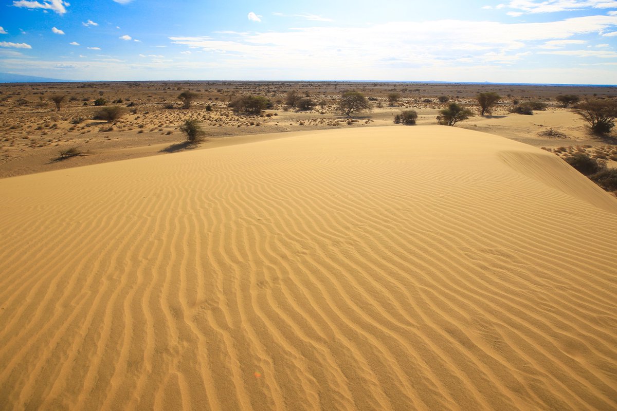 magicalkenya's tweet photo. Where do you go if you're looking for a thrilling adventure, stunning landscapes, breathtaking sunsets, and soft golden sands??

We've got two words for you...

CHALBI DESERT☀️🐪🇰🇪 
📍Marsabit County, Kenya

#MagicalKenya #TembeaKenya #365DaysOfMagic https://t.co/uoXGn3szCG
