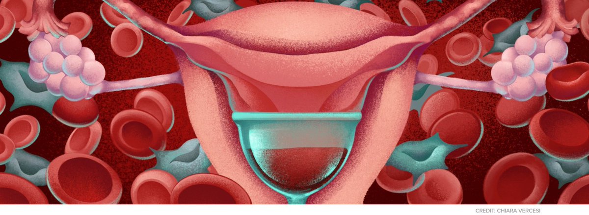 Sneha Khedkar tweet media