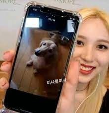 zyomorings's tweet photo. #WeLoveYouMina
#RestInPeaceRay https://t.co/4QAZR3uO0n