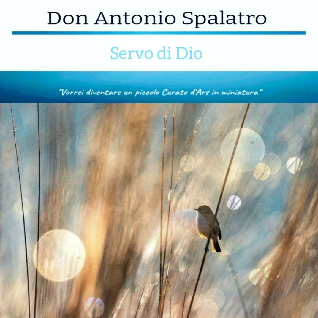 Dal diario spirituale:
~ Datemi la forza di rinunciare alla mia volontà. Completamente. ~

#donantoniospalatro #vieste #cattolico #catholic #diocesimanfredoniaviestesangiovannirotondo #santigiovani