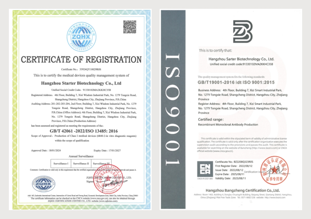 Starterbio's tweet photo. 🎉Exciting News! [Starter Bio] Achieves ISO 13485 Certification! 🏆

We've officially achieved ISO 13485 certification, adding to our commitment to quality with ISO9001. 🌐🔬

#biotech #lifescience #IHC #recombinant #antibody #CDx #IVD #cancer #pathology https://t.co/swzT5OseCv