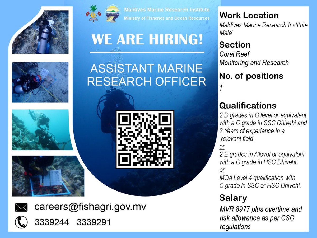 Career Opportunity! We are looking for interested candidates to work in our coral reef research program. Selected candidate will work in national coral reef monitoring and reef rehabilitation programs. If interested please send in your application before 05th February 2024.