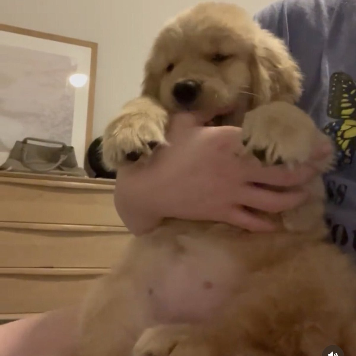 takemybear 🐶 tweet media