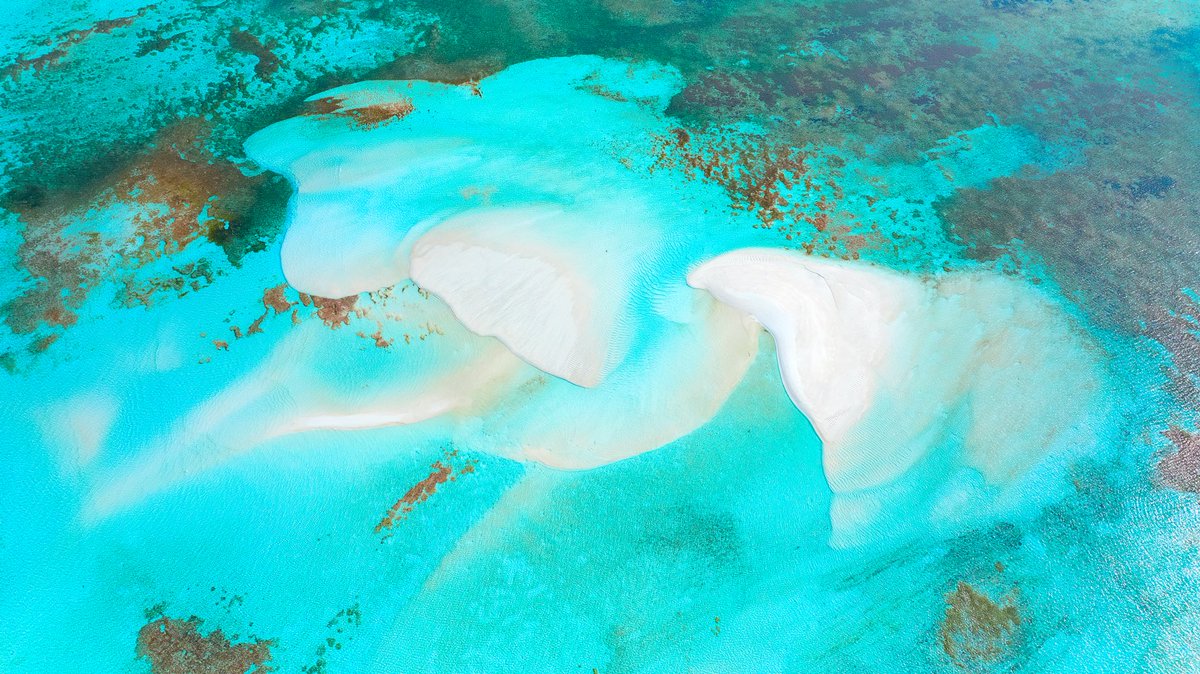 Shahudhan's tweet photo. I was always so worried about the sea weed/sea grass and the dark dead corals around the lagoon near sandbanks or islands. 
But i got this shot i thought it will turn this into something colorful instead of leaving them behind. 
Im so proud of this shot and i love how this edit. https://t.co/0nVfMVkaPZ