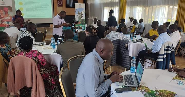 LubaoFm's tweet photo. " #FingerMillets are easy to grow because they require less water, less fertilizer and can withstand effects of Climate Change yet the crop is so rich in zinc among other nutrients which are very vital to our immune systems", ~ Dr. Christopher Ojiewo from @CIMMYT https://t.co/wSyduUKeRx