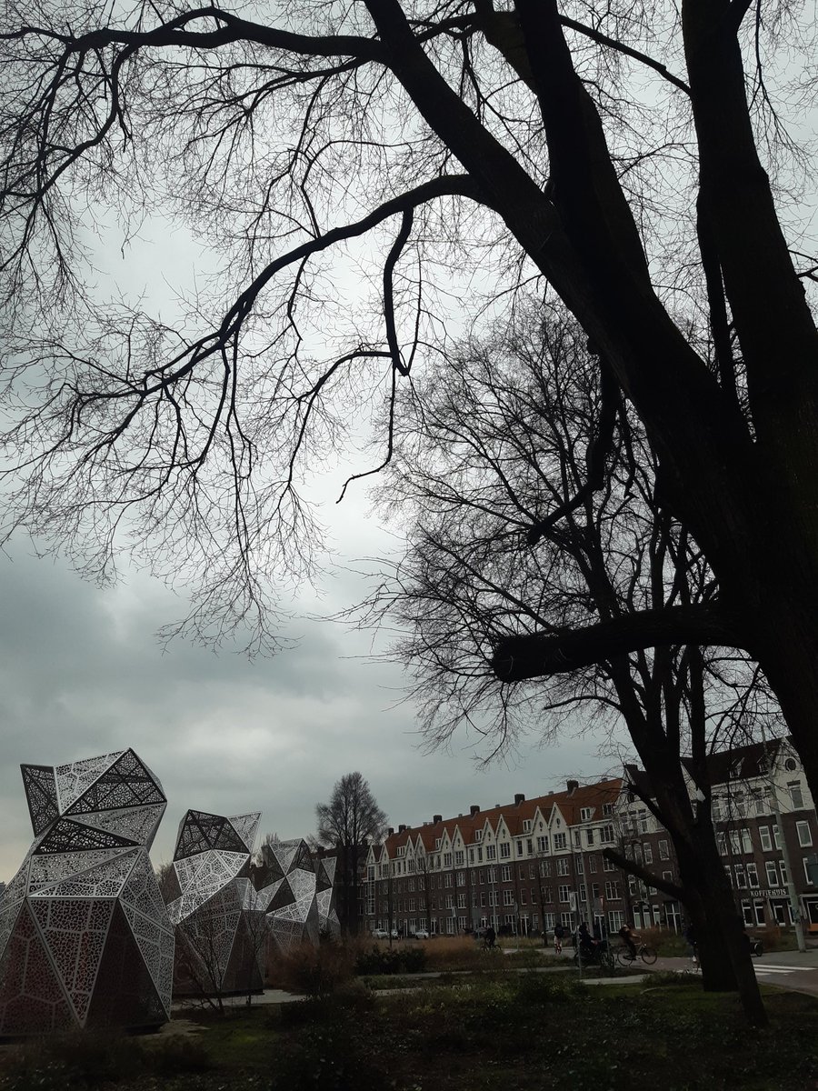 oedsblok's tweet image. #Amsterdam #Spaarndammerbuurt #Houthavens #pionieren