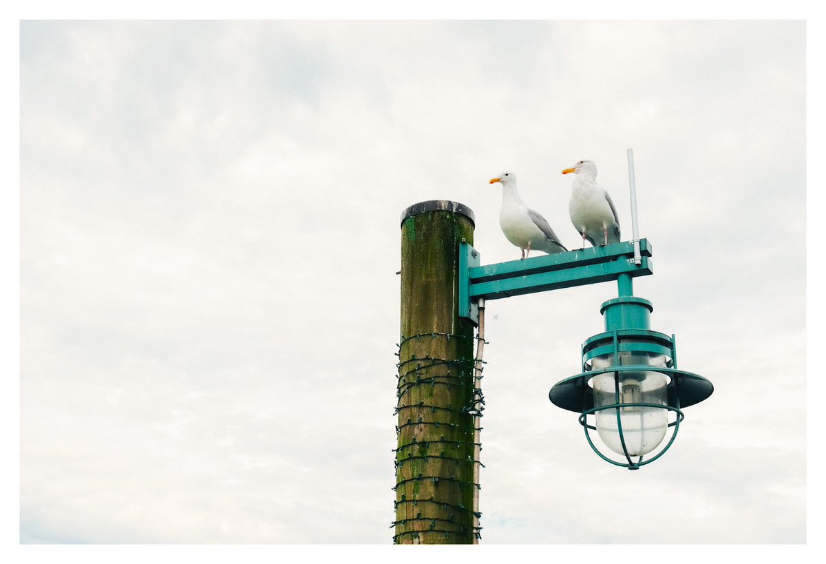 tiare bowman✨ tweet media
