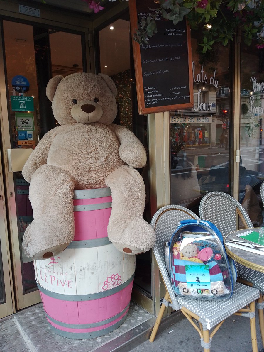 Tarliebear's tweet photo. Found a friendly restaurant with a huge welcoming bear. Obviously I had to try this place out and wasn't disappointed @thefamilyparis #tarlietravels #restaurantforbears #bearswhotravel #bearfriendly @visitparisreg https://t.co/5eXTrMCm5L