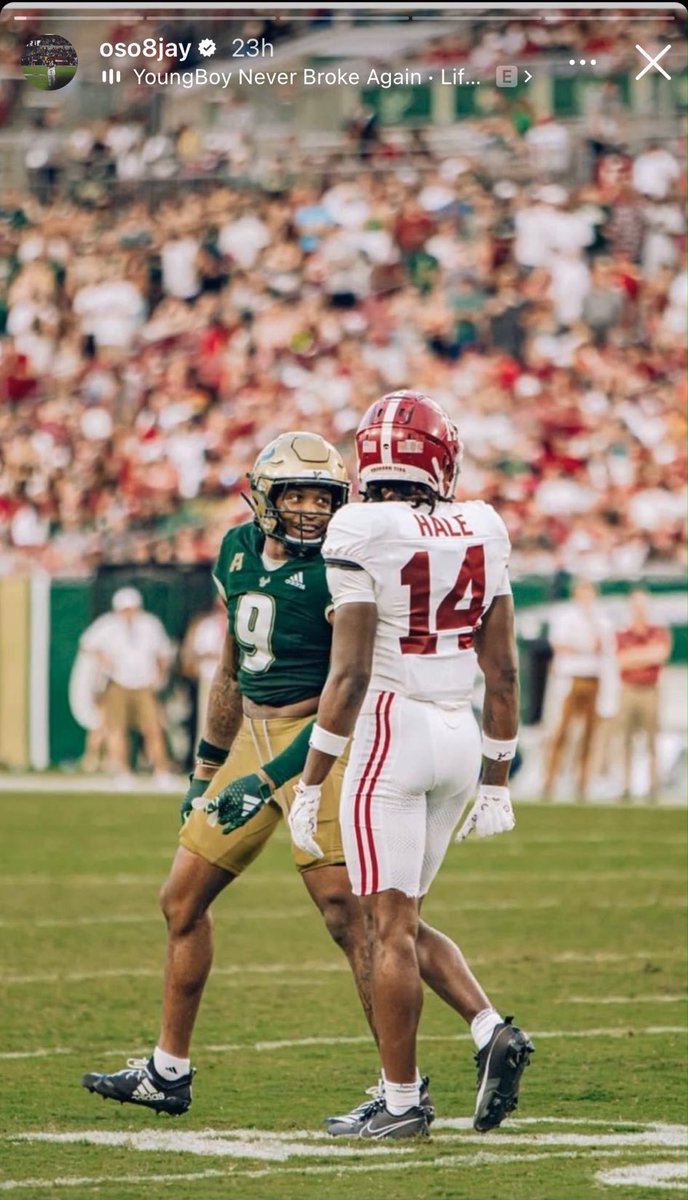 next year ⏳