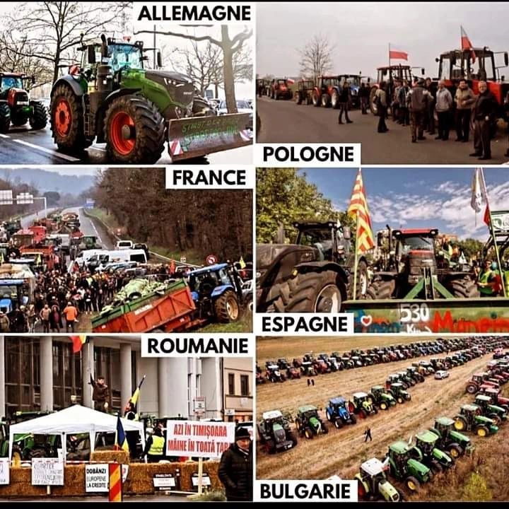 CedricGarnier68's tweet photo. 🚜🚜🚜 La mobilisation est européenne !
La liste complète de 12 pays aux dernières nouvelles...
Les revendications sont les mêmes que chez nous :
↗️ Augmentation des contraintes
↘️ Diminution des prix
✖️ NON aux accords de libre-échange
https://t.co/xlDPTxuDwF https://t.co/ZdsCD1kQ2H