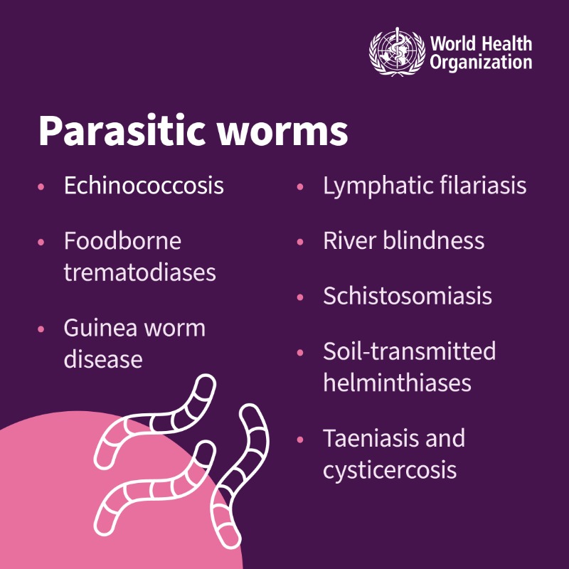 WHO's tweet photo. There are 21 neglected tropical diseases.

Find out what they are and what causes them

#NeglectedNoMore