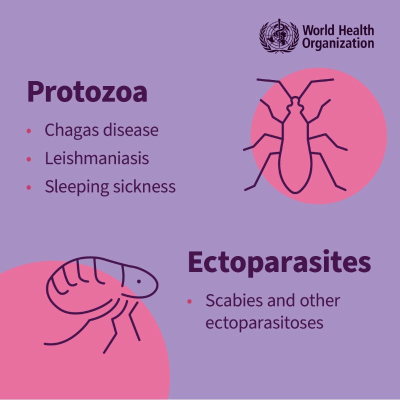 WHO's tweet photo. There are 21 neglected tropical diseases.

Find out what they are and what causes them

#NeglectedNoMore