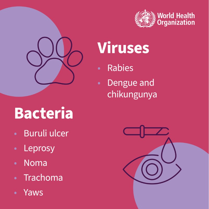 WHO's tweet photo. There are 21 neglected tropical diseases.

Find out what they are and what causes them

#NeglectedNoMore