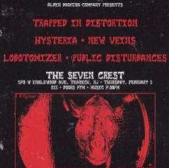 newveins's tweet photo. Come out the seven crest in NJ this thursday 2/1 to see us and some other wonderful acts https://t.co/k0ZQAVKO6K