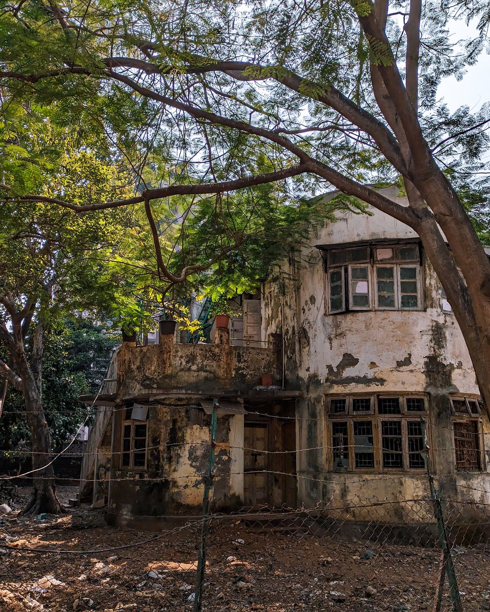 vimalsatelier's tweet image. In abandonment's embrace, beauty blooms, a silent symphony in forgotten rooms.
#TeamPixel