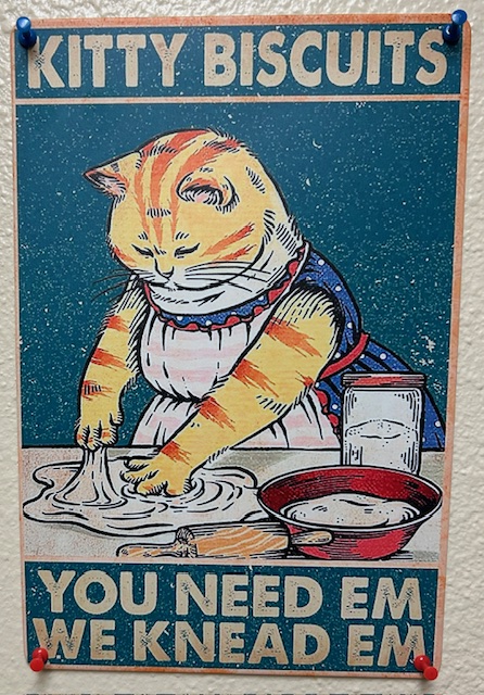 When you are a cat person you go to a car show and bring back this. That's a CAR show, not a CAT show-had we gone to a cat show I would have had a better time.