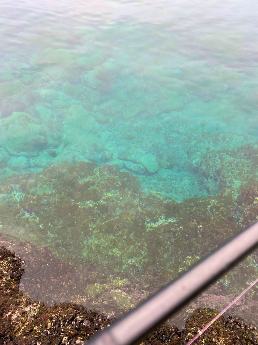 無風〜🦑
なかなか当たらない😂