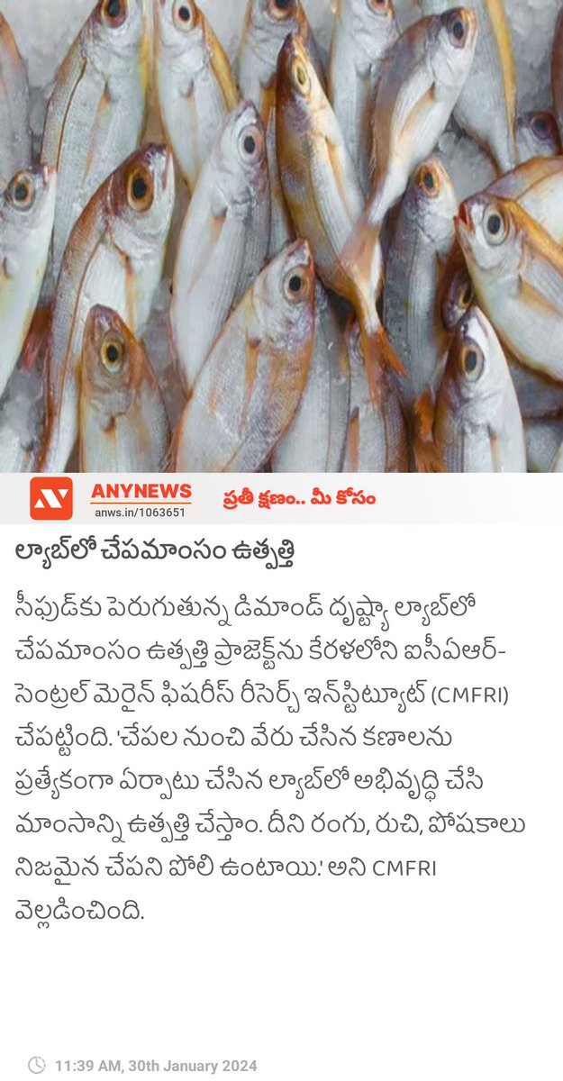 ల్యాబ్‌లో చేపమాంసం ఉత్పత్తి  anynews0.page.link/YRyu4CjDNXQVff…

#FishMeat #SeaFood #NonVeg #meat #LabTesting #Anynews #anynewsapp #anynewstelugu #viral #TrendingNews