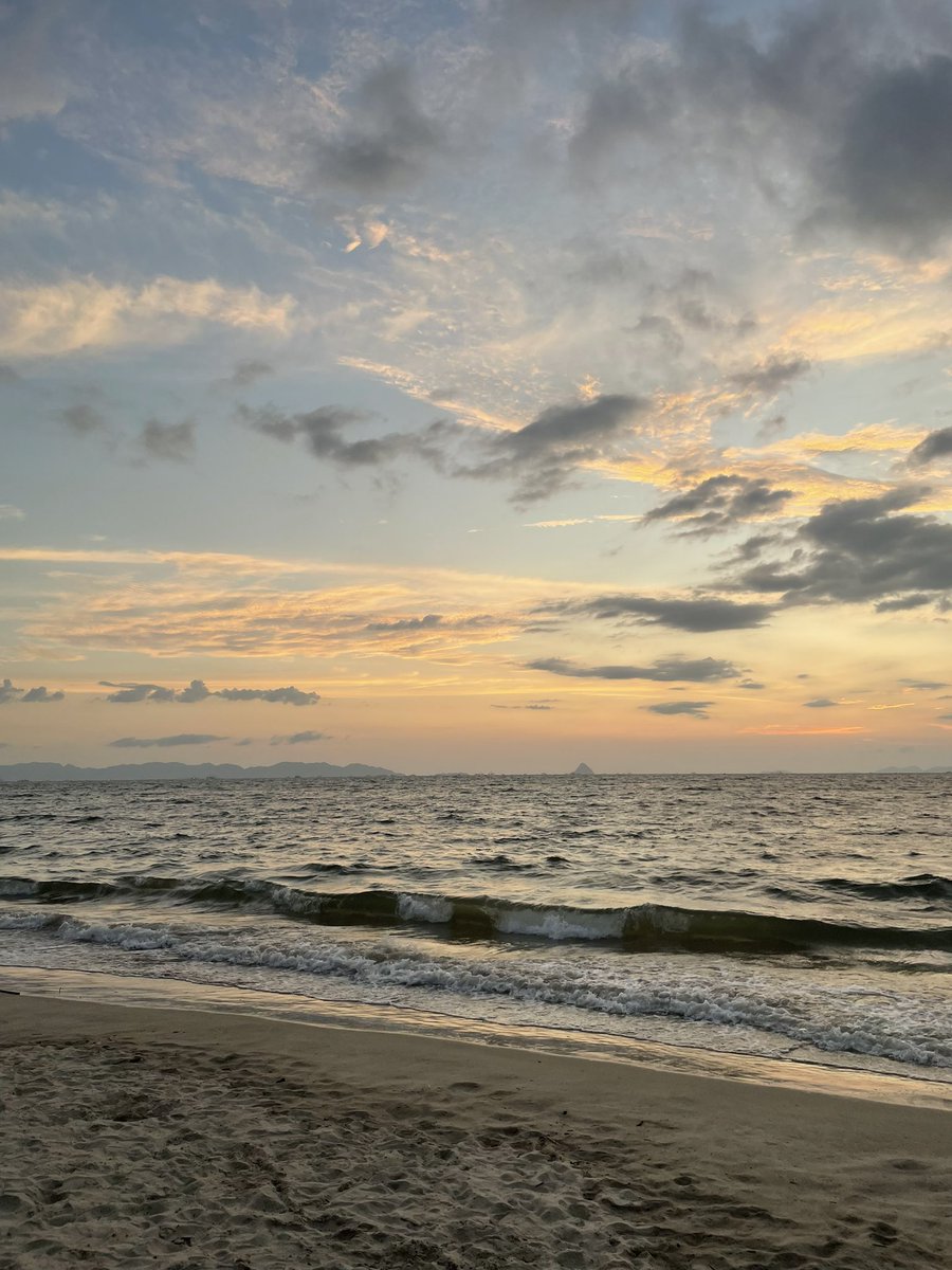 chuumillyrock's tweet image. 🤎🧡💛