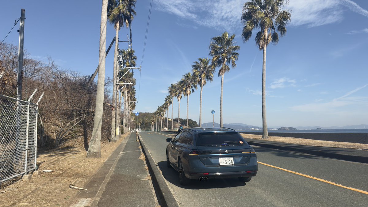 Flanchan_508ESY's tweet image. 蒲フォルニアだと本国で撮ってる感出てて良いぞ👍
交通量少ないとは言っても迷惑にならないよう、サッと停めて、サッと撮って、サッと退散！
#Peugeot #508SW