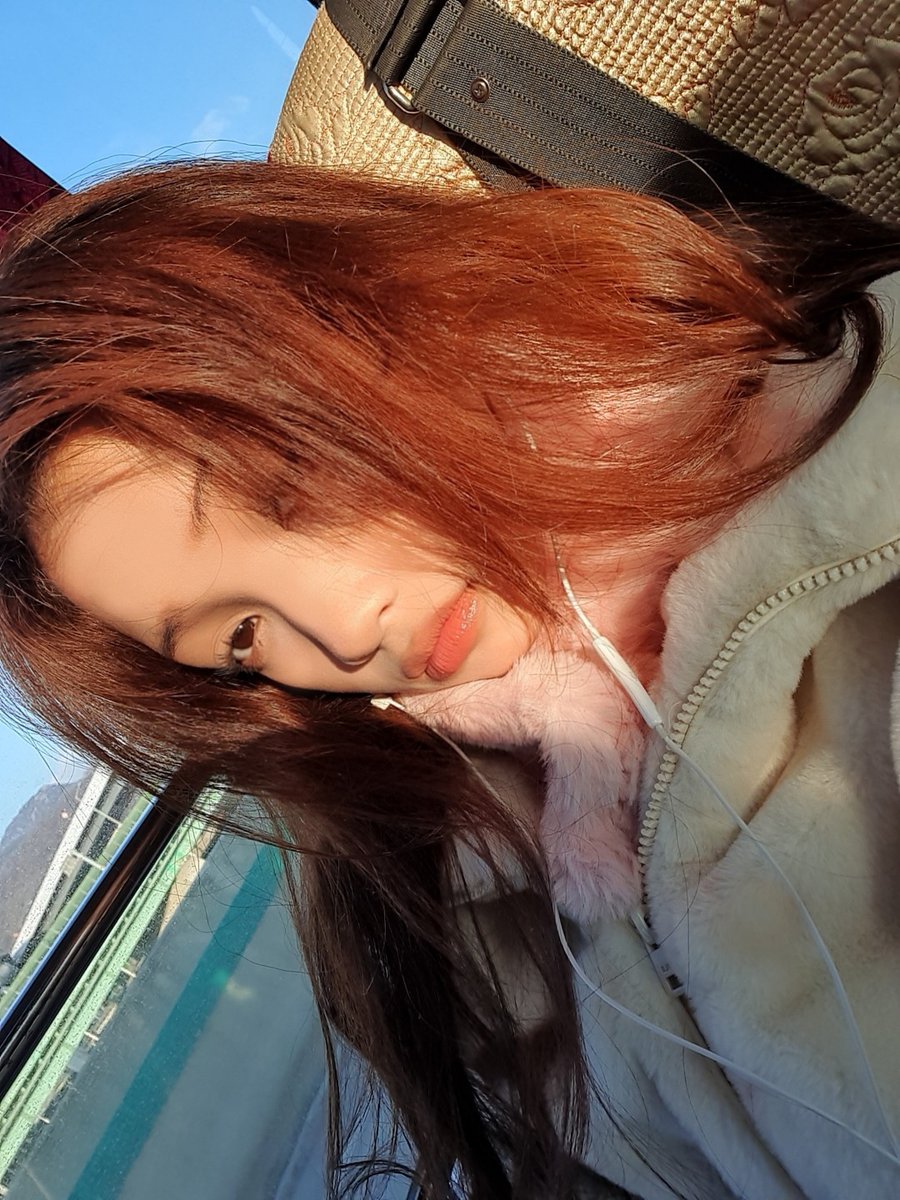 unis オフイベ 29日 限定 ゼリーダンカ トレカ UNIS OFFICIAL JP on X